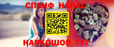 тгк Моздок
